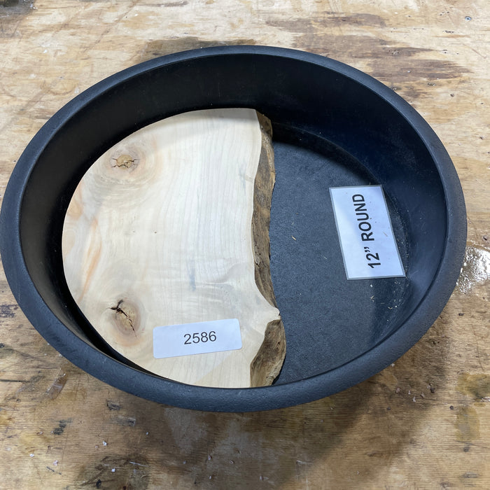 Box Elder Burl Slices Collection 3 (12" Round)