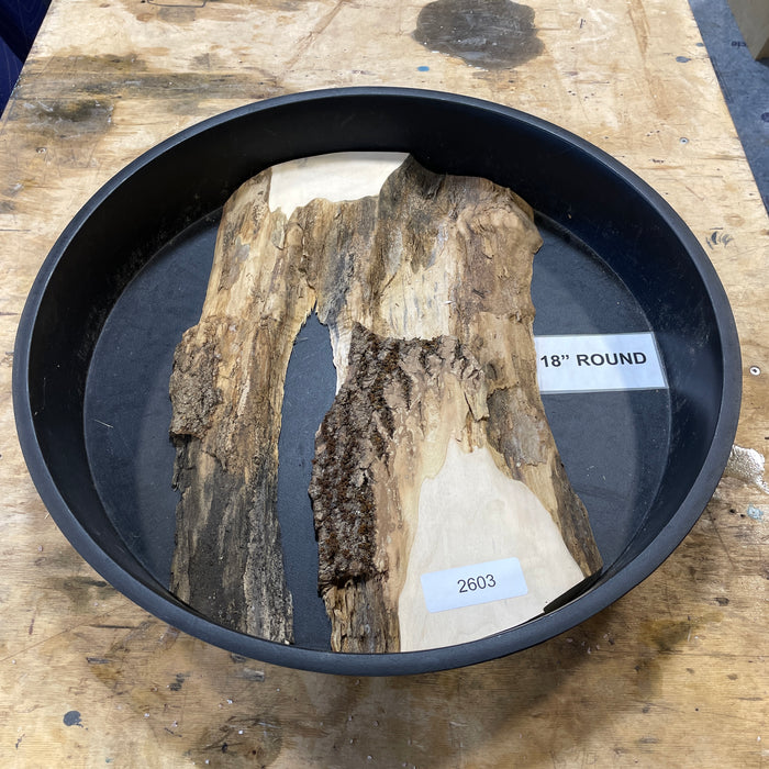 Box Elder Burl Slices Collection 1 (18" Round)