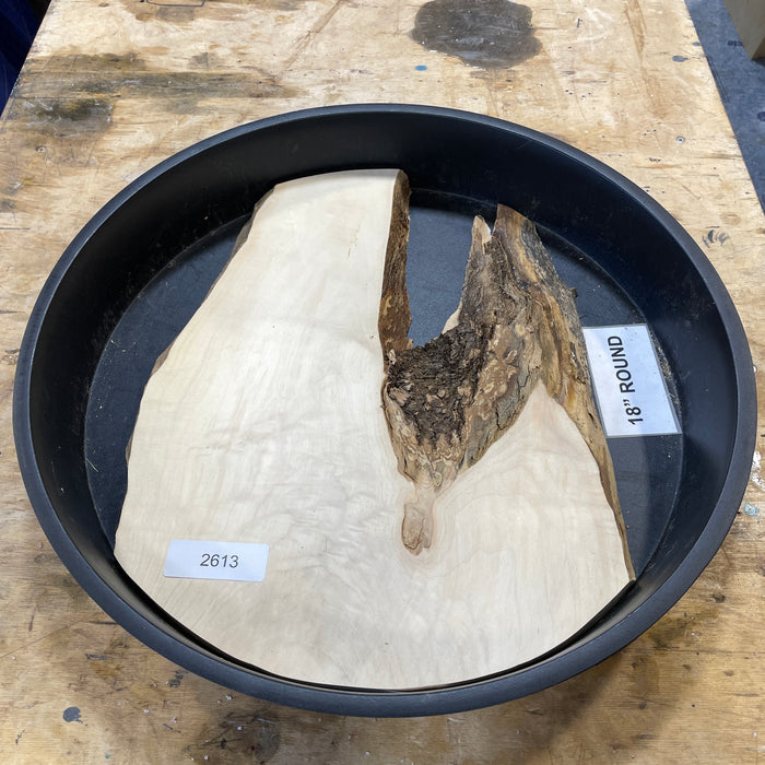 Box Elder Burl Slices Collection 1 (18" Round)