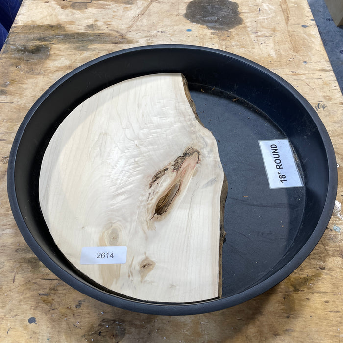 Box Elder Burl Slices Collection 1 (18" Round)