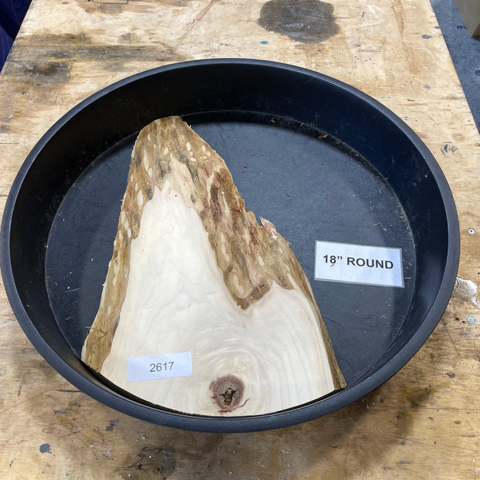 Box Elder Burl Slices Collection 1 (18" Round)