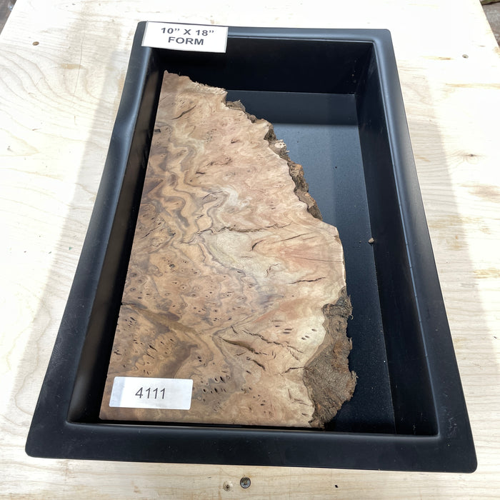 RARE Claro Walnut Burl (10" by 18")