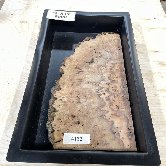 RARE Claro Walnut Burl (10" by 18")