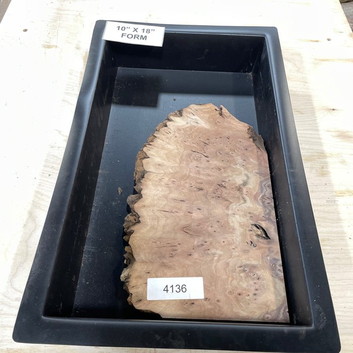 RARE Claro Walnut Burl (10" by 18")