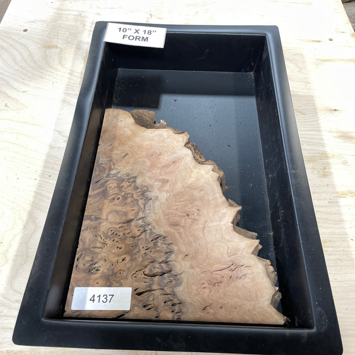 RARE Claro Walnut Burl (10" by 18")