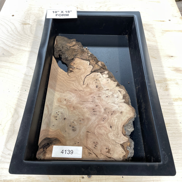RARE Claro Walnut Burl (10" by 18")