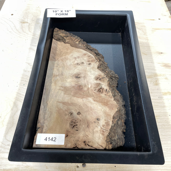 RARE Claro Walnut Burl (10" by 18")