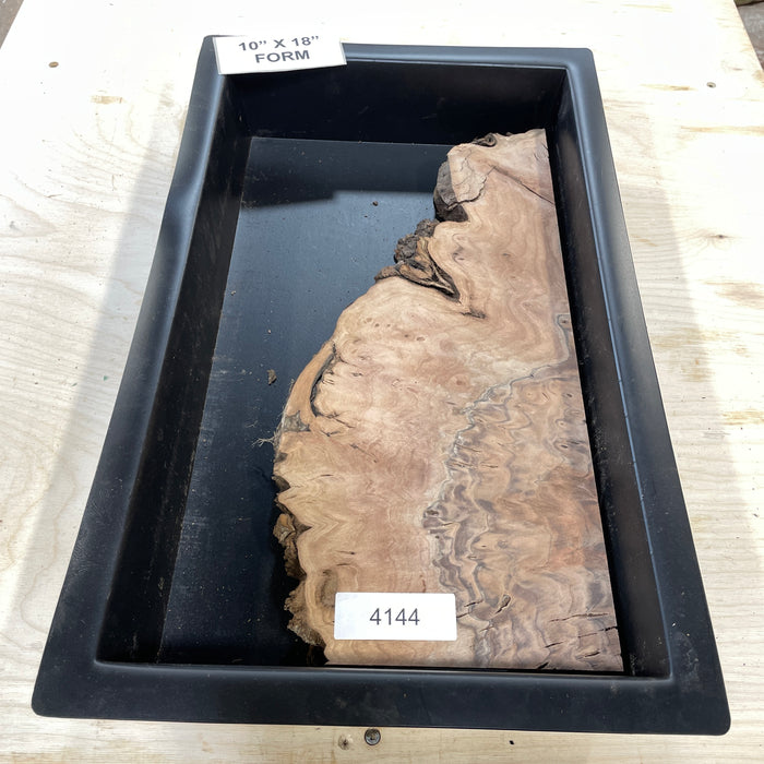 RARE Claro Walnut Burl (10" by 18")