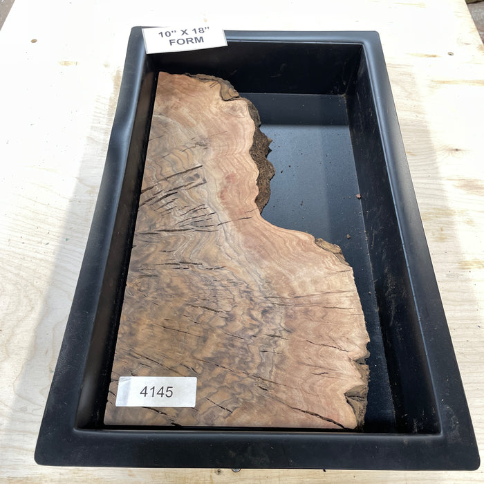 RARE Claro Walnut Burl Collection 2 (10" by 18")