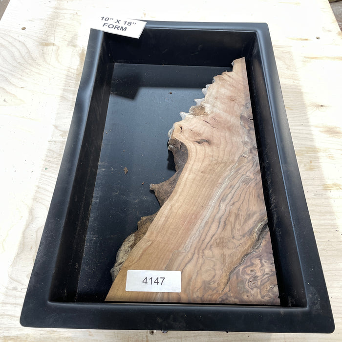 RARE Claro Walnut Burl Collection 2 (10" by 18")