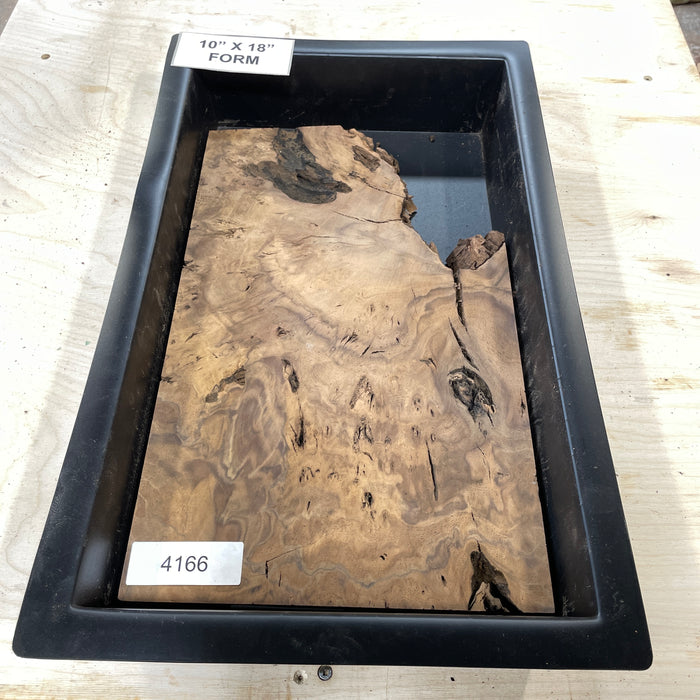 RARE Claro Walnut Burl Collection 2 (10" by 18")