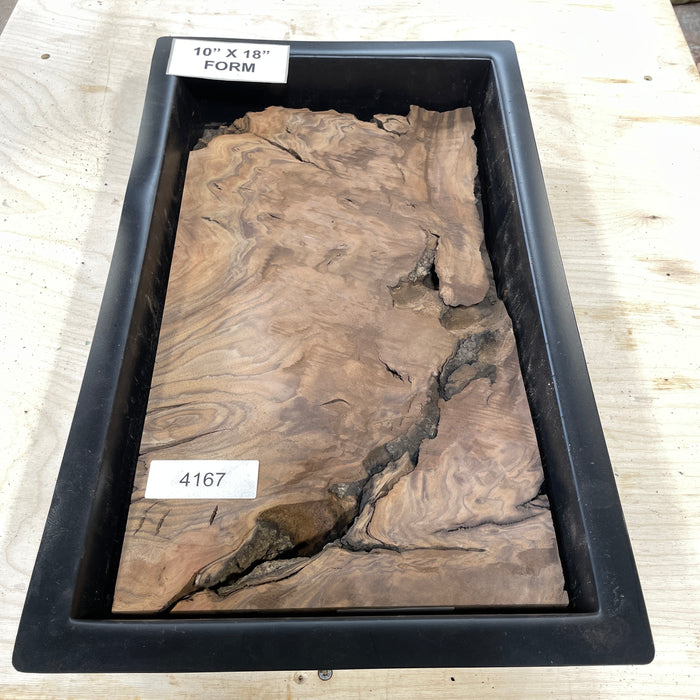 RARE Claro Walnut Burl Collection 2 (10" by 18")