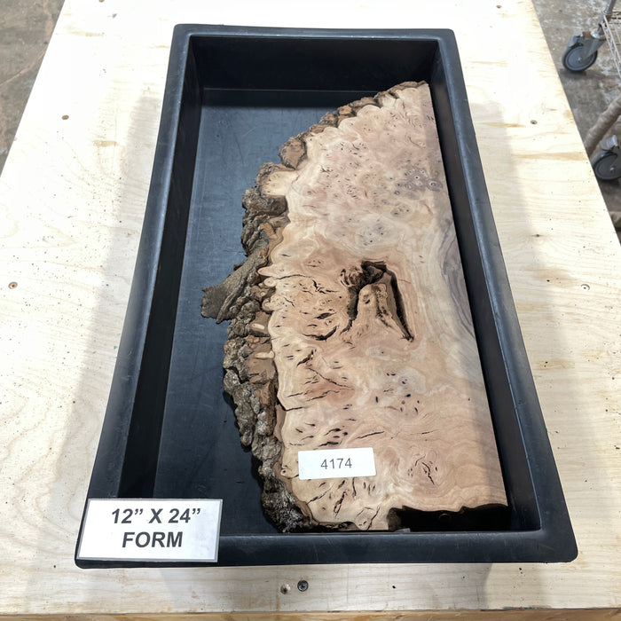 RARE Claro Walnut Burl (12" by 24")