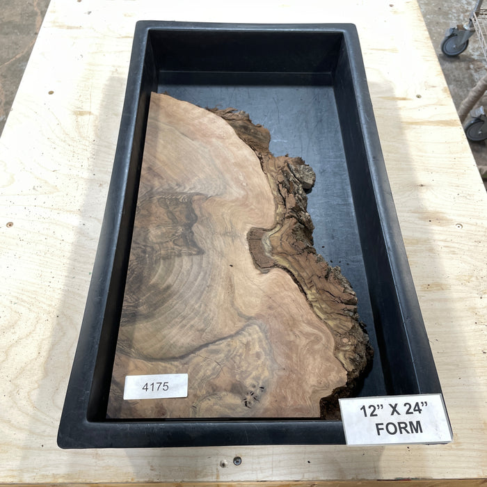 RARE Claro Walnut Burl (12" by 24")