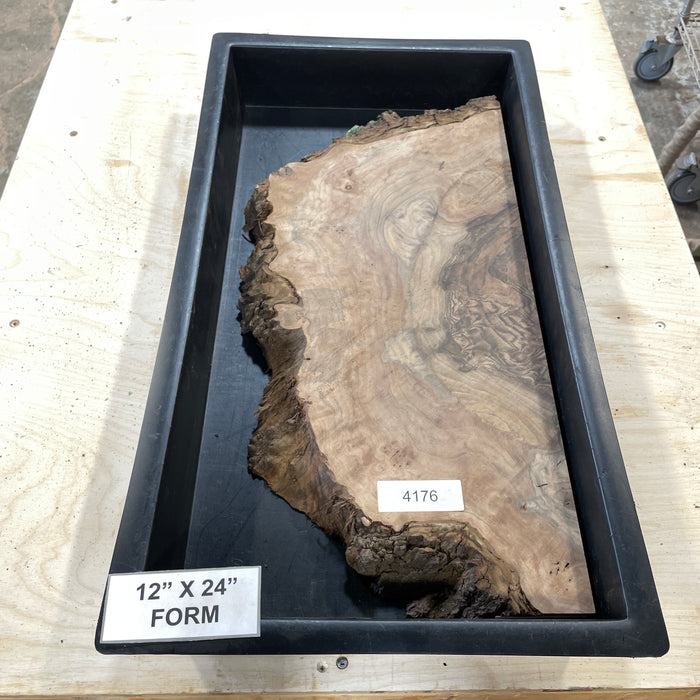 RARE Claro Walnut Burl (12" by 24")