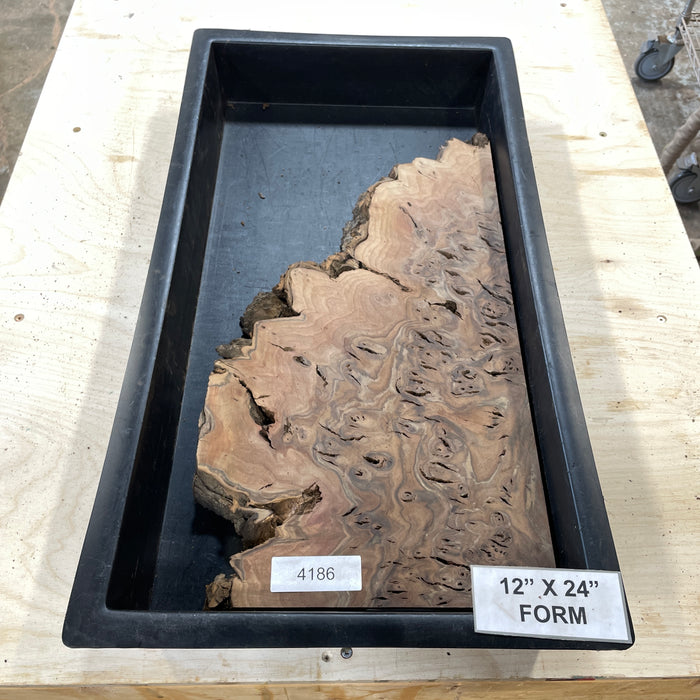 RARE Claro Walnut Burl (12" by 24")