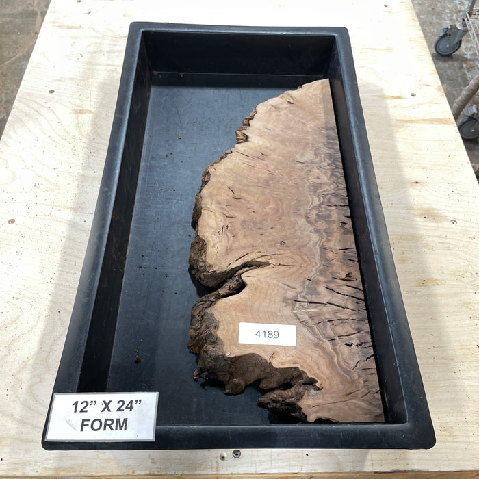 RARE Claro Walnut Burl (12" by 24")