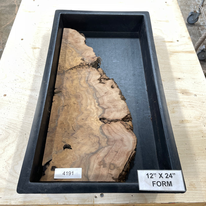 RARE Claro Walnut Burl (12" by 24")