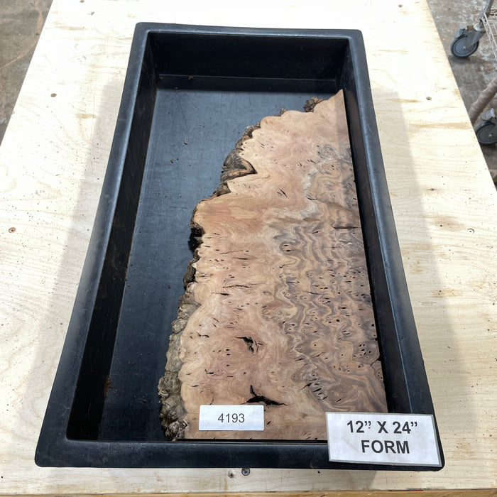 RARE Claro Walnut Burl (12" by 24")