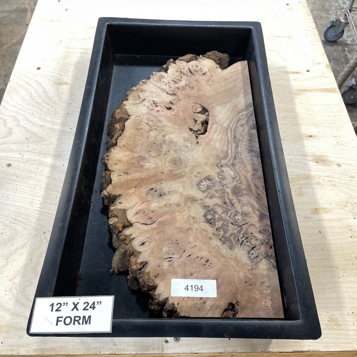 RARE Claro Walnut Burl (12" by 24")