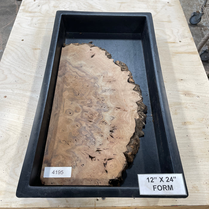 RARE Claro Walnut Burl (12" by 24")