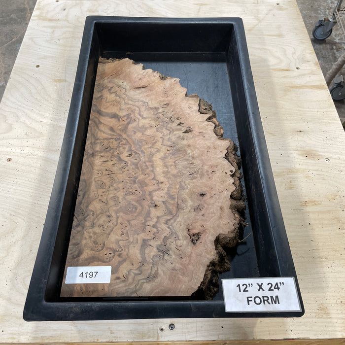 RARE Claro Walnut Burl (12" by 24")