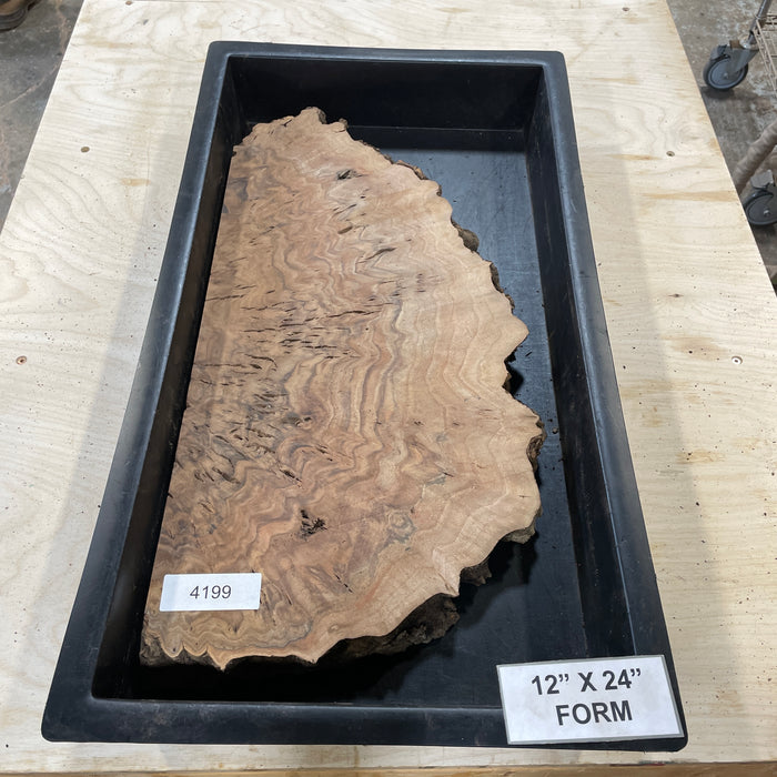 RARE Claro Walnut Burl (12" by 24")