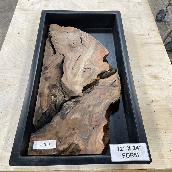 RARE Claro Walnut Burl (12" by 24")