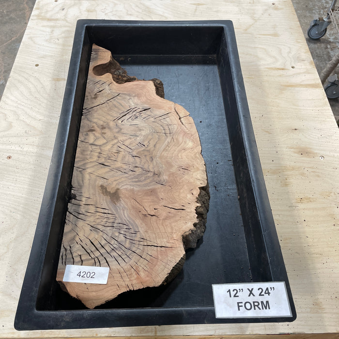 RARE Claro Walnut Burl (12" by 24")