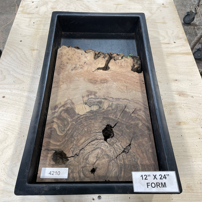 RARE Claro Walnut Burl (12" by 24")