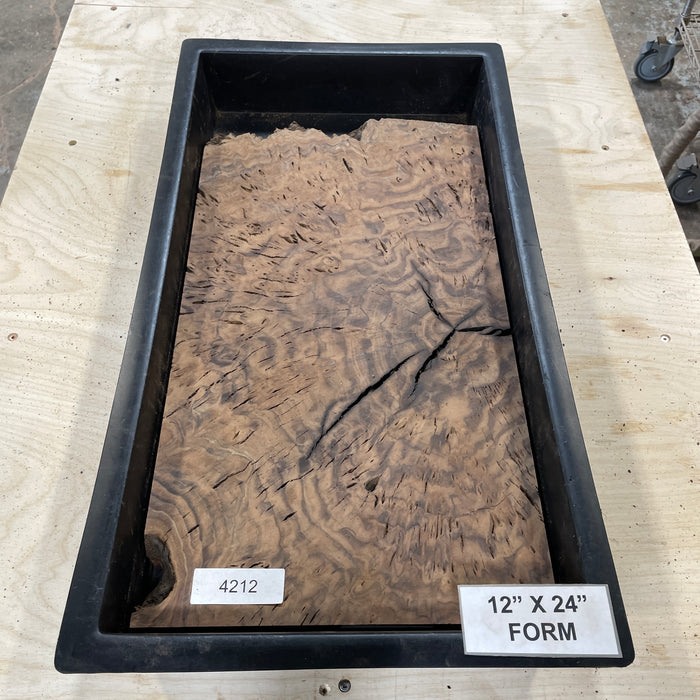 RARE Claro Walnut Burl (12" by 24")