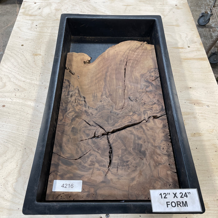 RARE Claro Walnut Burl (12" by 24")