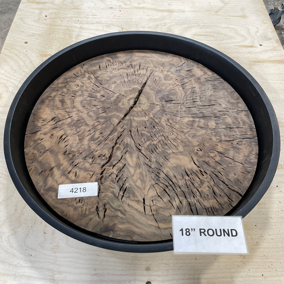 RARE Claro Walnut Burl (18