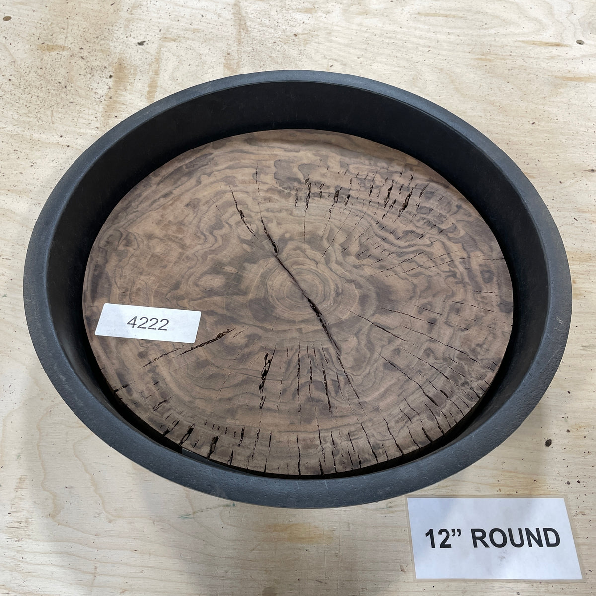 RARE Claro Walnut Burl (12