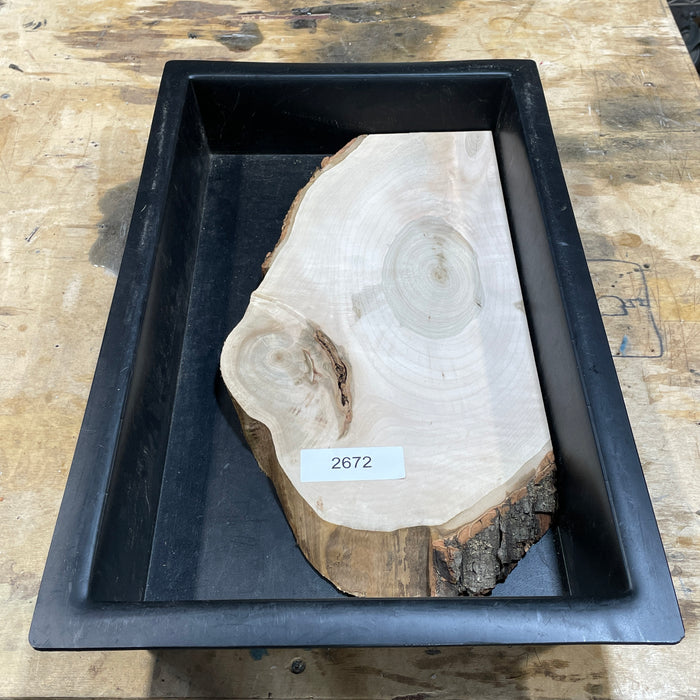 Ambrosia Maple Slices Collection 1 (10" by 18")