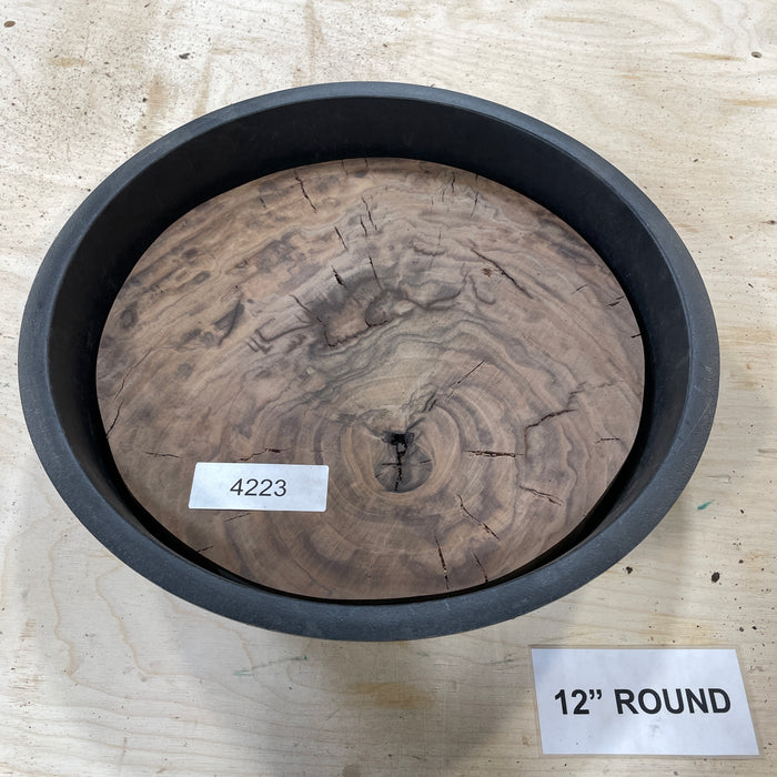 RARE Claro Walnut Burl (12" Round)