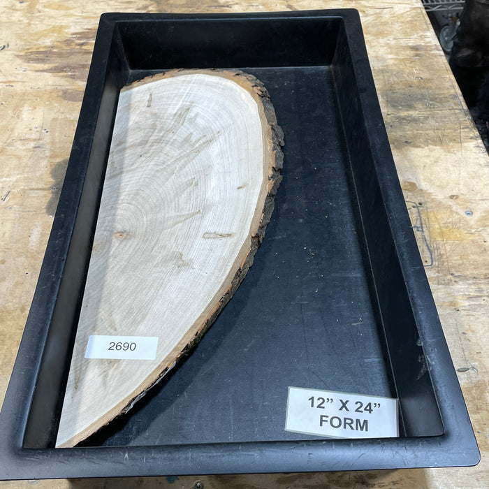 Ambrosia Maple Slices Collection 1 (12" by 24")