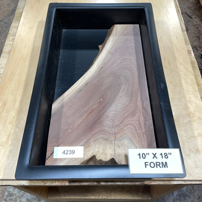 Walnut Wood Slices for Epoxy Projects – 10" x 18" Mold Layout Collection 1