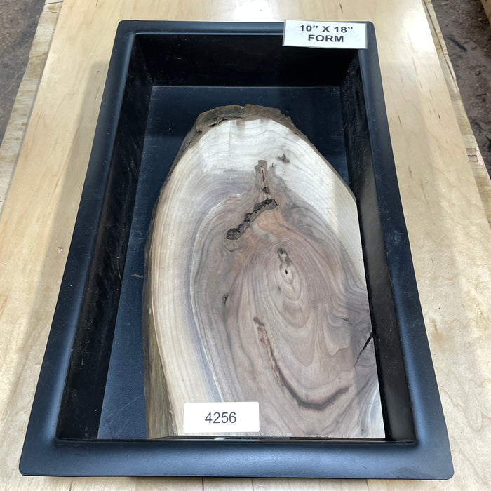 Walnut Wood Slices for Epoxy Projects – 10" x 18" Mold Layout Collection 1