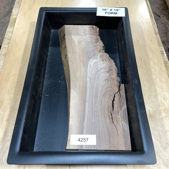 Walnut Wood Slices for Epoxy Projects – 10" x 18" Mold Layout Collection 1