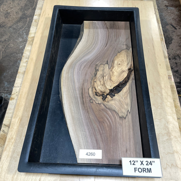 Walnut Slices Collection 2 (12" by 24")