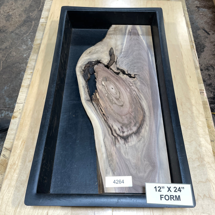 Walnut Slices Collection 2 (12" by 24")