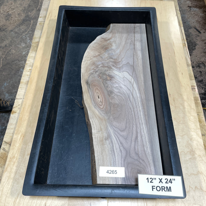 Walnut Slices Collection 2 (12" by 24")