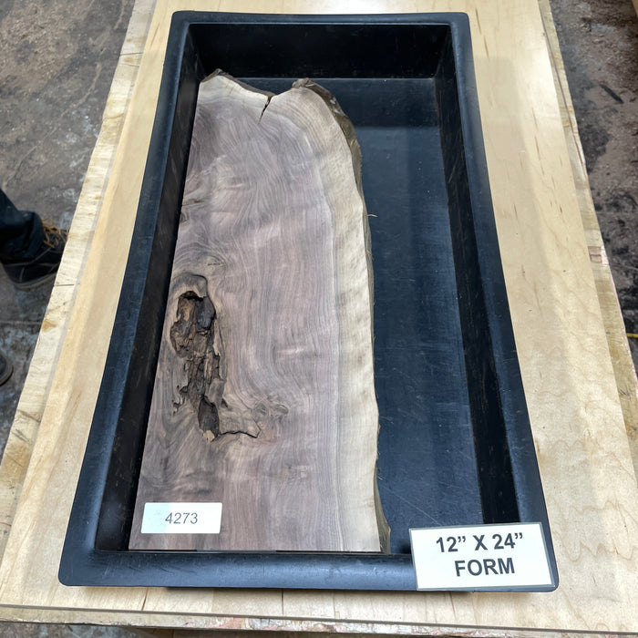 Walnut Slices Collection 2 (12" by 24")