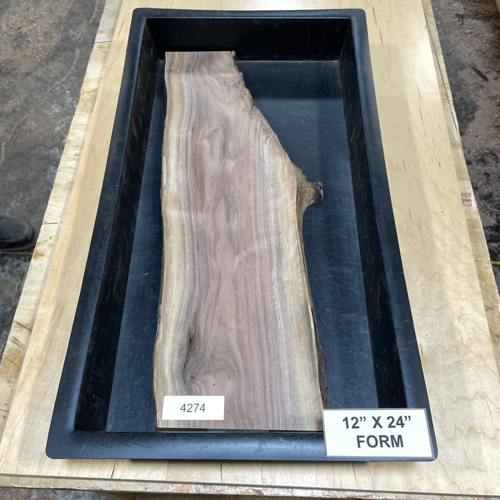 Walnut Slices Collection 2 (12" by 24")