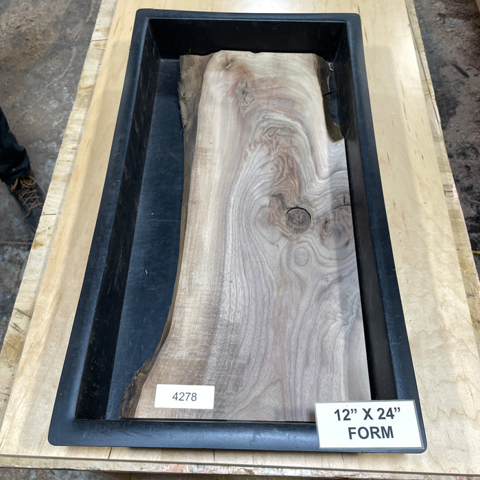 Walnut Slices Collection 2 (12" by 24")