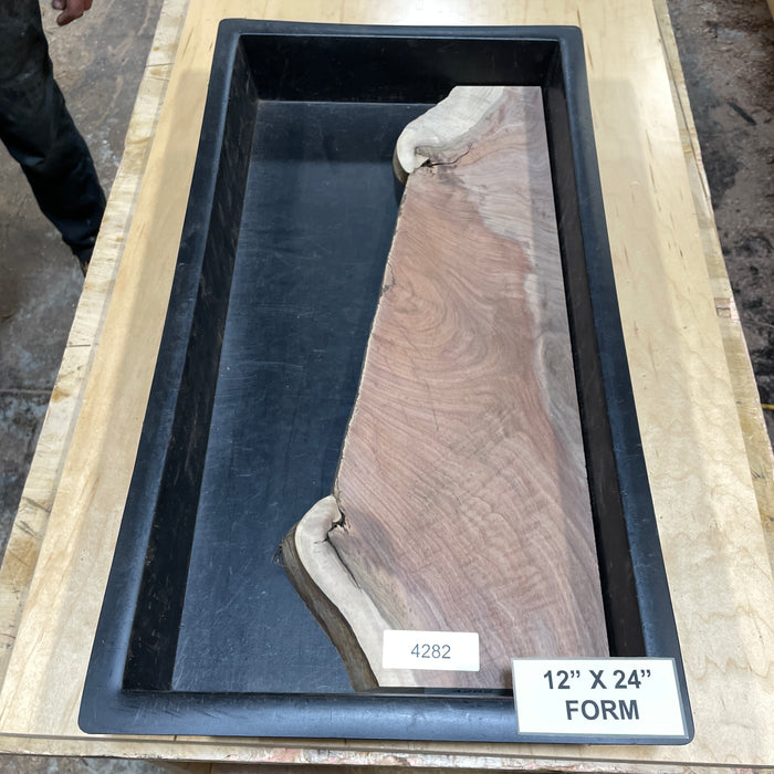 Walnut Slices Collection 2 (12" by 24")