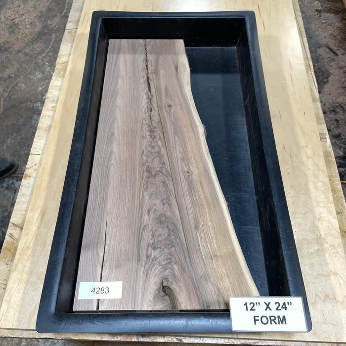 Walnut Slices Collection 2 (12" by 24")