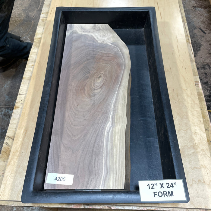 Walnut Slices Collection 2 (12" by 24")