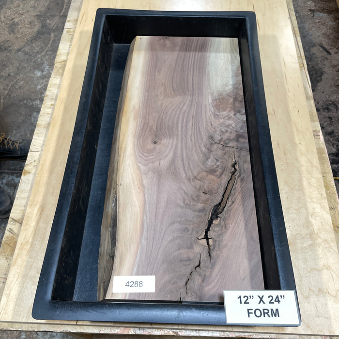 Walnut Slices Collection 2 (12" by 24")